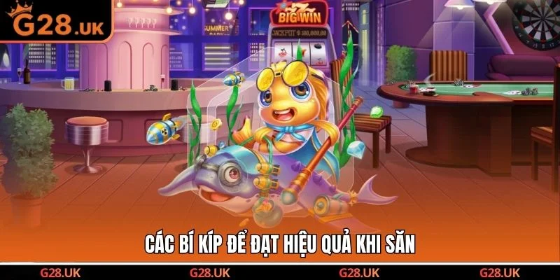 Các bí kíp để đạt hiệu quả khi săn