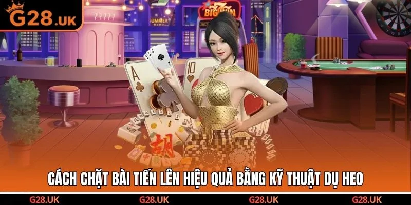 Cách chặt bài tiến lên hiệu quả bằng kỹ thuật dụ heo