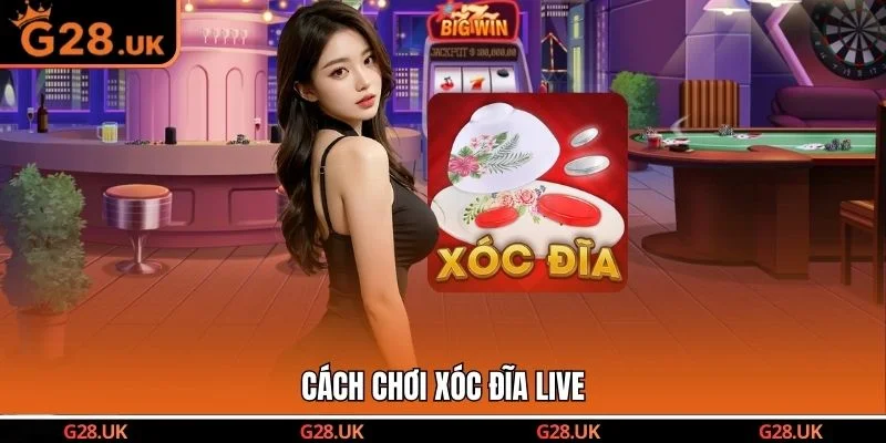 Cách chơi Xóc Đĩa Live 