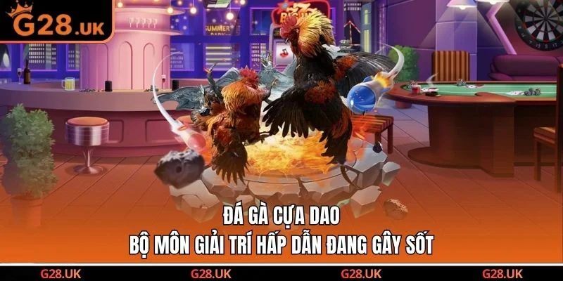 Đá Gà Cựa Dao - Bộ Môn Giải Trí Hấp Dẫn Đang Gây Sốt