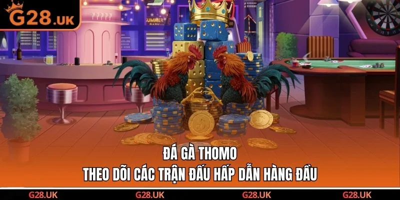 Đá Gà Thomo - Theo Dõi Các Trận Đấu Hấp Dẫn Hàng Đầu