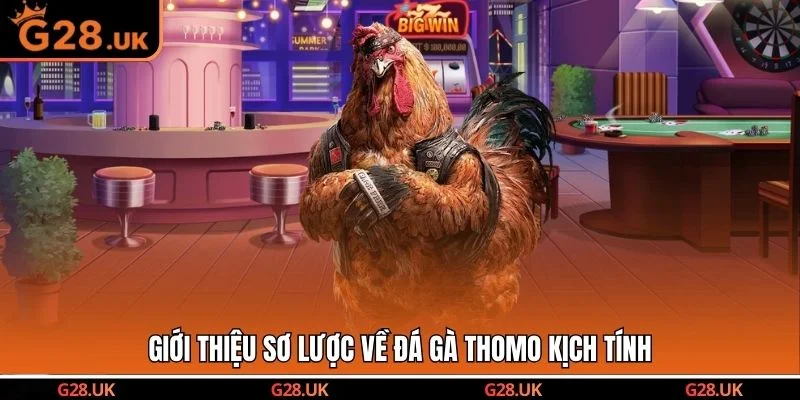 Giới thiệu sơ lược về đá gà Thomo kịch tính
