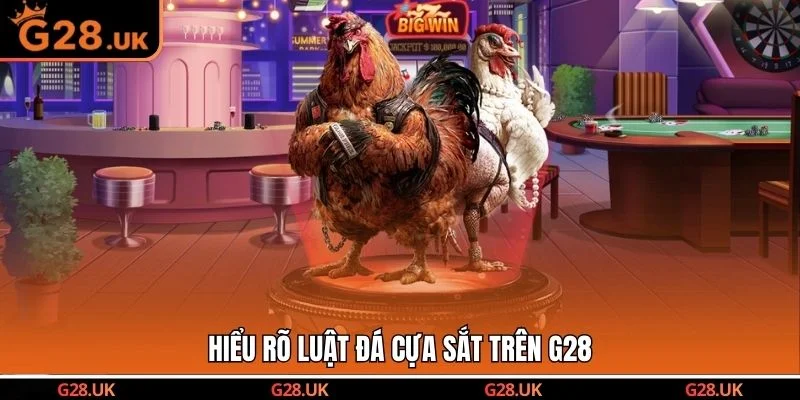 Hiểu rõ luật đá cựa sắt trên G28