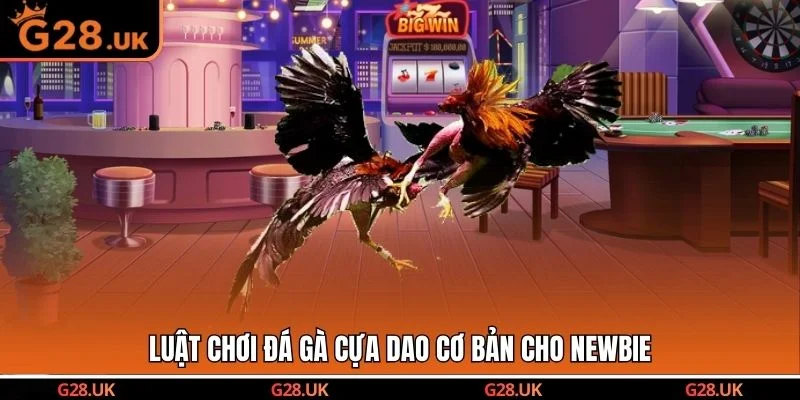Luật chơi đá gà cựa dao cơ bản cho newbie