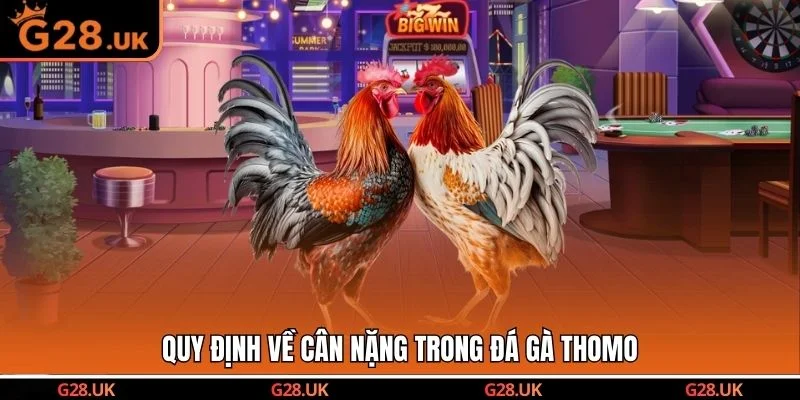 Quy định về cân nặng trong đá gà Thomo